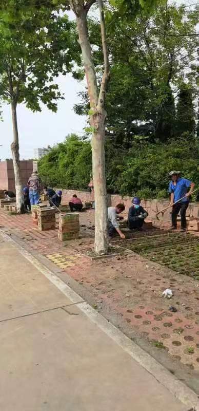 QQ圖片20220701115937.jpg